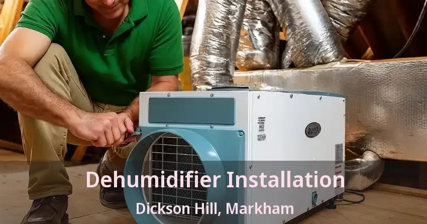 Dehumidifier Installation Dickson Hill, Markham - ON
