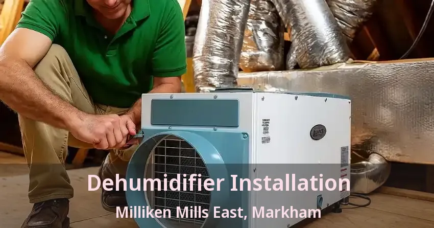 Dehumidifier Installation Milliken Mills East, Markham - ON