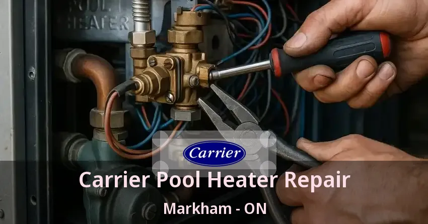 Carrier Pool Heater Repair Markham - ON